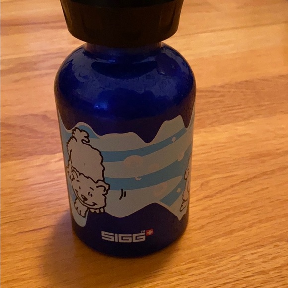 Sigg Metal Thermal bottle - Picture 3 of 3